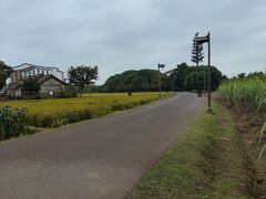 -乌村