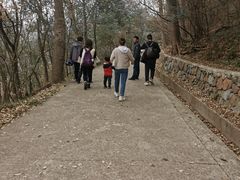-紫金山山顶公园