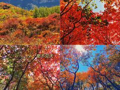 -周口店坡峰岭风景区