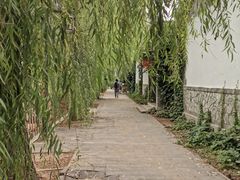 -尚庄度假村·庭台树下·户外烧烤·团建CS·轰趴营地(上庄水库店)