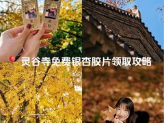 -灵谷景区