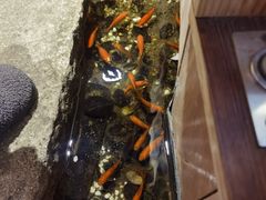 -邈墨茶馆(凤起路店)