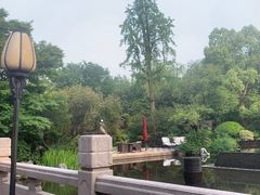 -杭州西子湖四季酒店-WL BISTRO西湖餐厅(灵隐路店)