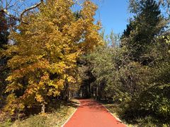 -长春市南湖公园