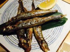 -酒井酱子·深夜食堂(东城汇店)