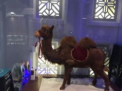 -哈密古丽新疆餐厅(江北融创店)