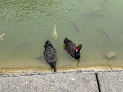 -芭东小镇温泉