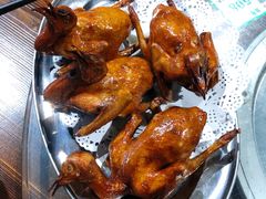 -石岐乳鸽村(南海第三分店)