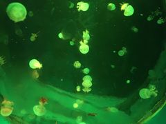 -白鹿仓冰雪海洋世界