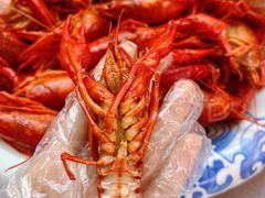 -蔡妹龙虾•肥鱼地标(陶珠路步行街店)