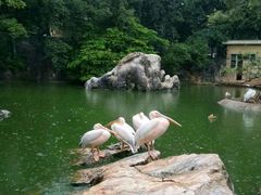 -昆明动物园