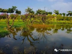 -鹤之洲湿地公园