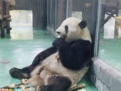 -小荧星艺校(大宁分校)