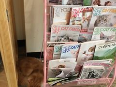 -喵匠猫主题咖啡(凯德和平广场店)