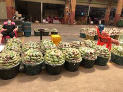 -三亚新鸿港水果一级批发市场