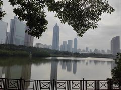 -万绿园