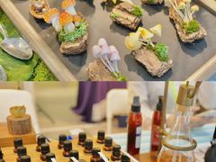 -KKV(东莞海德汇一城店)