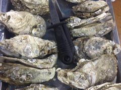 -蚝得喜海鲜(东城店)