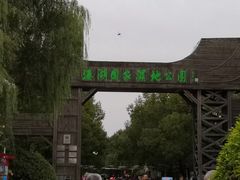 -溱湖国家湿地公园