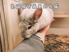 -龙猫仔乐园(惠福东路店)