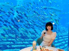 -亚特兰蒂斯•OSSIANO奥西亚诺海底餐厅