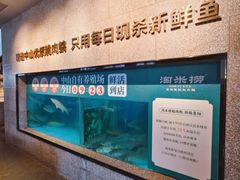 -淘米捞·米汤脆鲩鱼火锅(福田皇岗店)