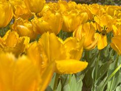 -玄武湖景区-情侣园游乐场