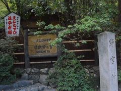 -野宫神社