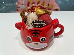 虎虎生威外带冰淇淋杯-哈根达斯(陆家浜路店)