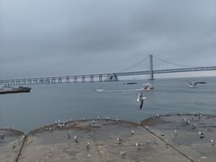-星海广场