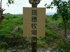 -瑞穗牧场