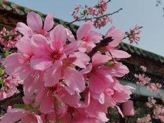 -宝墨园景区
