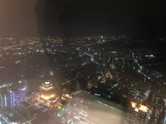 -顶鲜101美食美景餐厅