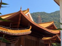 -深圳仙湖植物园