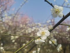 -蜀冈西峰生态公园