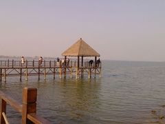 android_upload_pic-瑶湖郊野森林公园