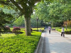 -徐家汇源景区-衡山公园