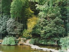 -杭州植物园