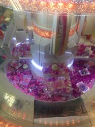 -莫莉幻想儿童乐园(武汉经开永旺店)