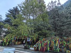 -苍山感通索道
