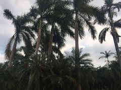 -人民公园(罗湖区)