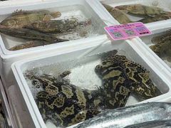 -济南海鲜大市场