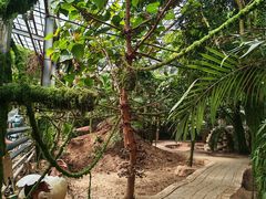 -呀路古热带植物园