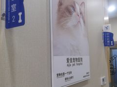 -爱佳宠物中心医院24H·CT·骨外科·猫专科(瑶海万达店)