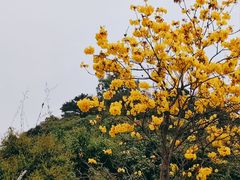 -立新湖公园