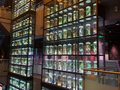 -广东中医药博物馆