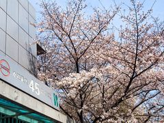 -上海南浦大桥长途旅游客运站