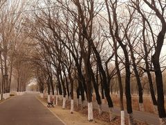 -东郊湿地公园