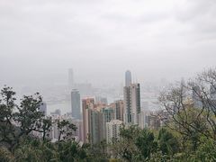 -太平山顶