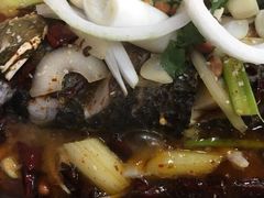 -乡土特色.冷锅鱼.牦牛肉汤锅